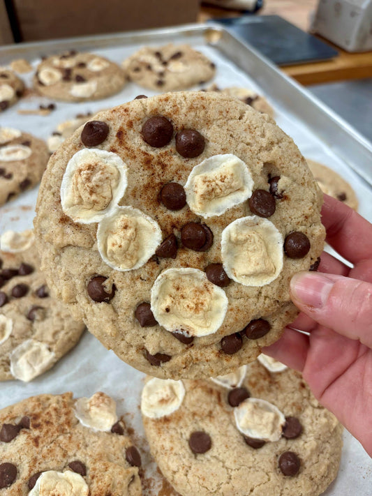 Close up image of a gluten free and vegan s'mores cookie, with melted mini vegan marshmallows, lots of chocolate chips, and cinnamon